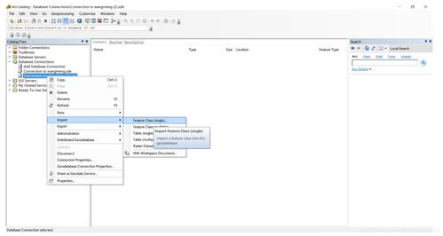 在ArcMap中發(fā)布要素圖層服務(wù)及將SQL Server數(shù)據(jù)庫升級為地理數(shù)據(jù)庫